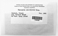 Hypoxylon subvinosum image